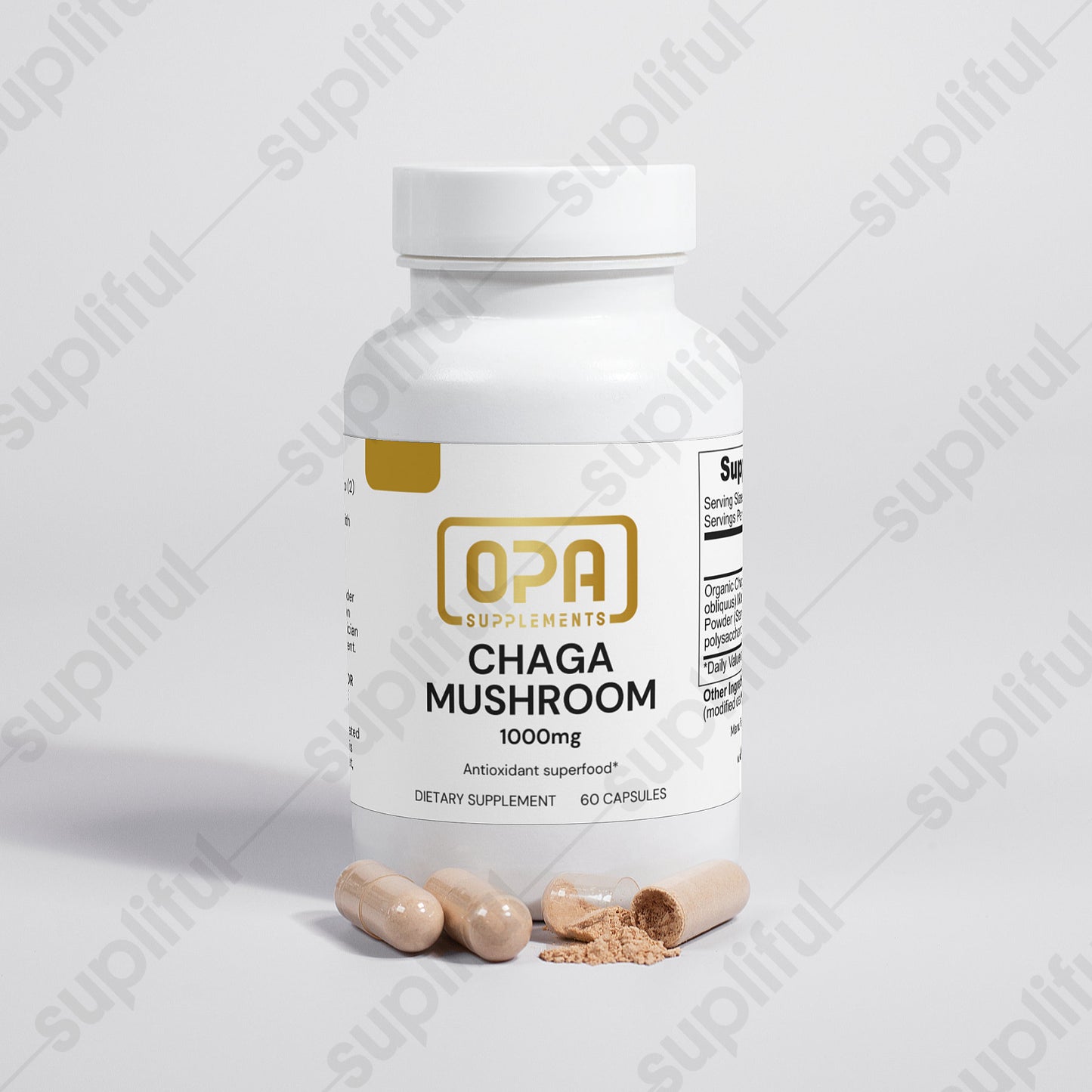 Chaga Mushroom
