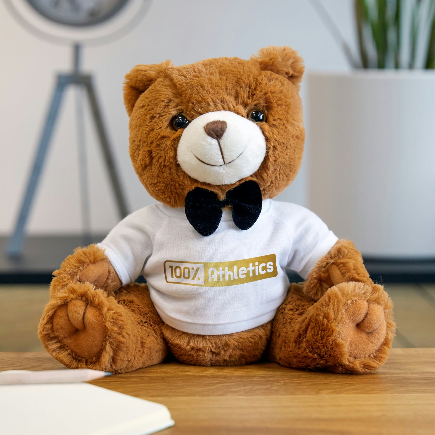 Teddy Bear with T-Shirt
