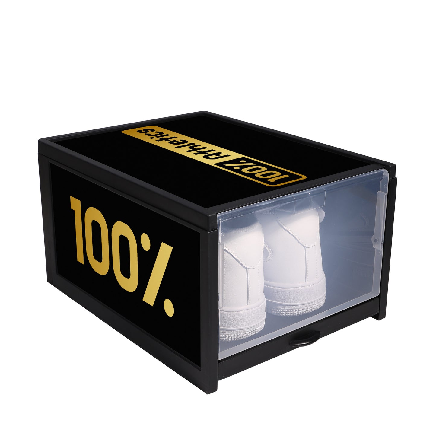 Printed Shoe Box