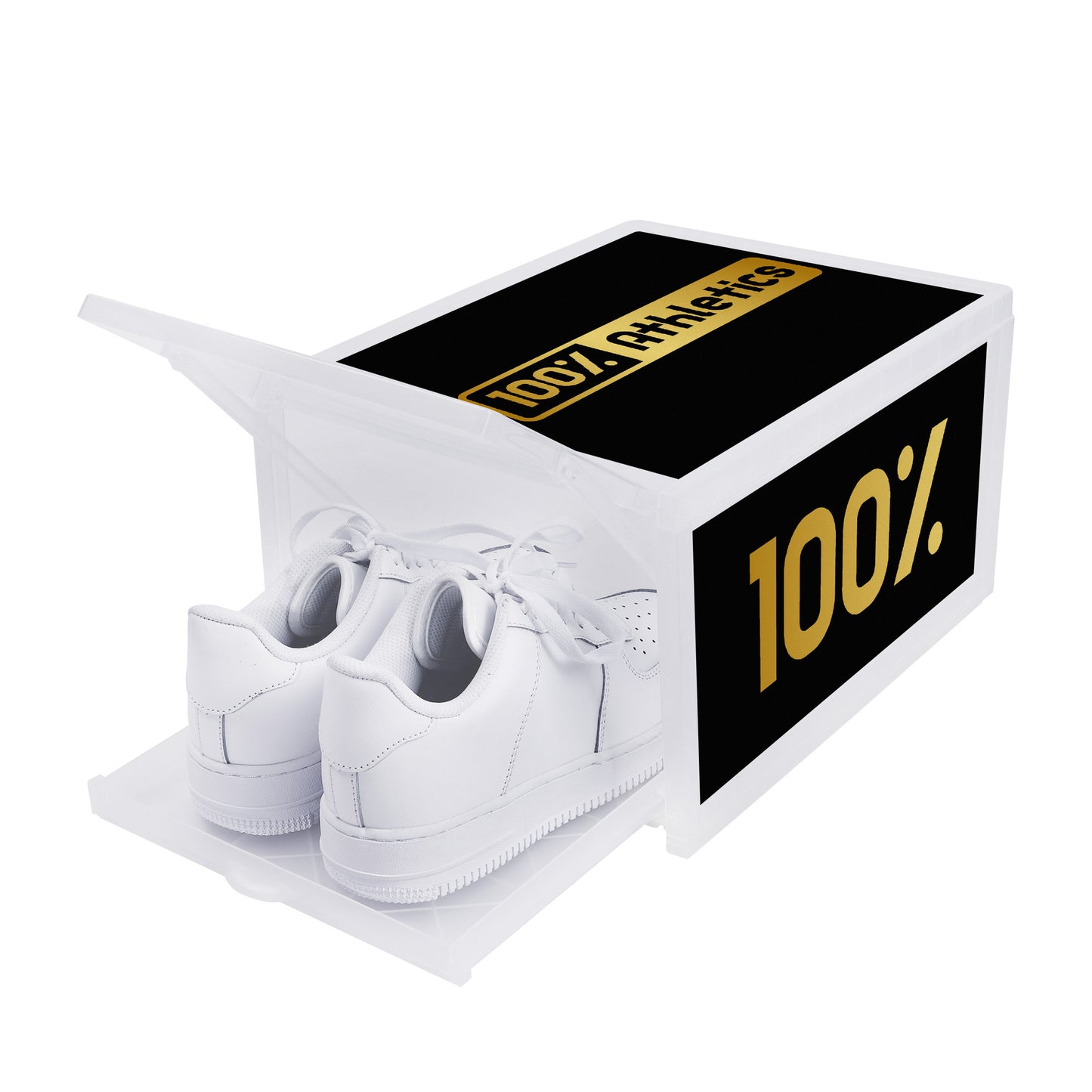Printed Shoe Box