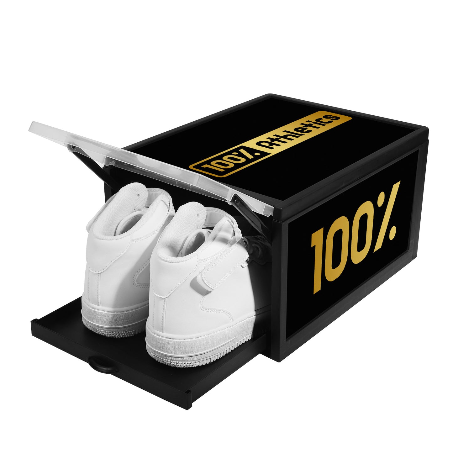 Printed Shoe Box